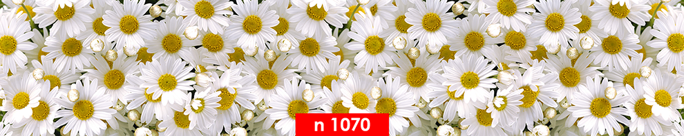 n 1070